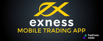 Exness Global Broker A Comprehensive Overview of Trading Opportunities